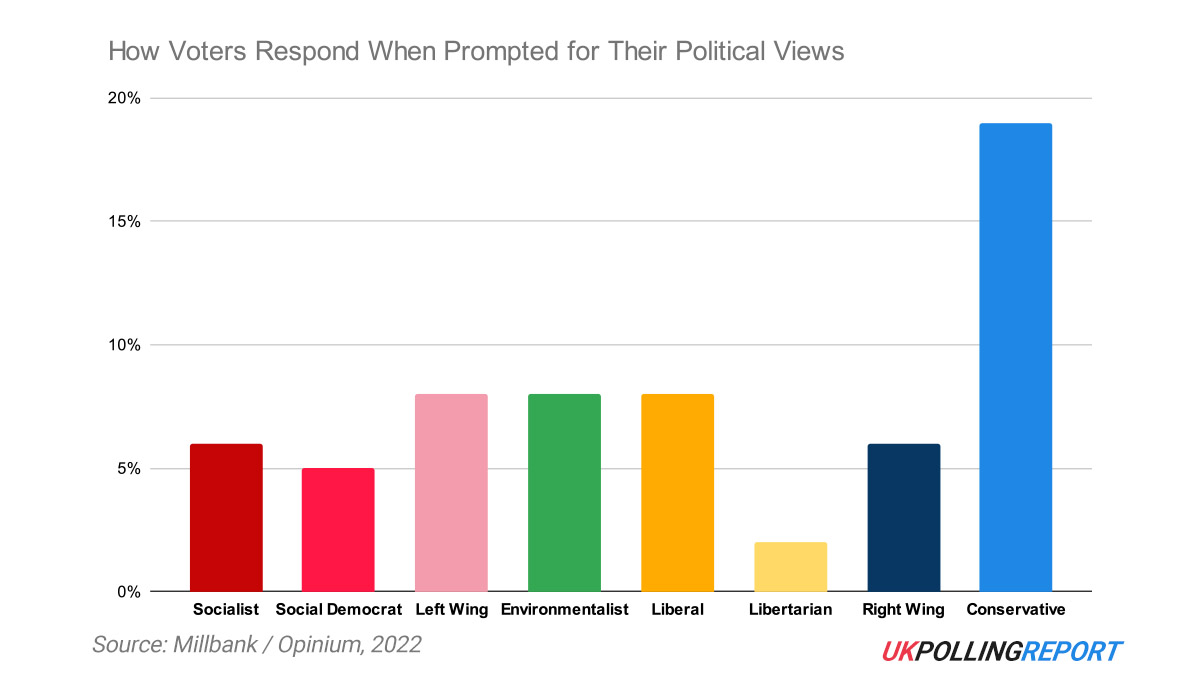 Just 6% of Voters Identify as Socialists. Is this a Problem for Starmer?
